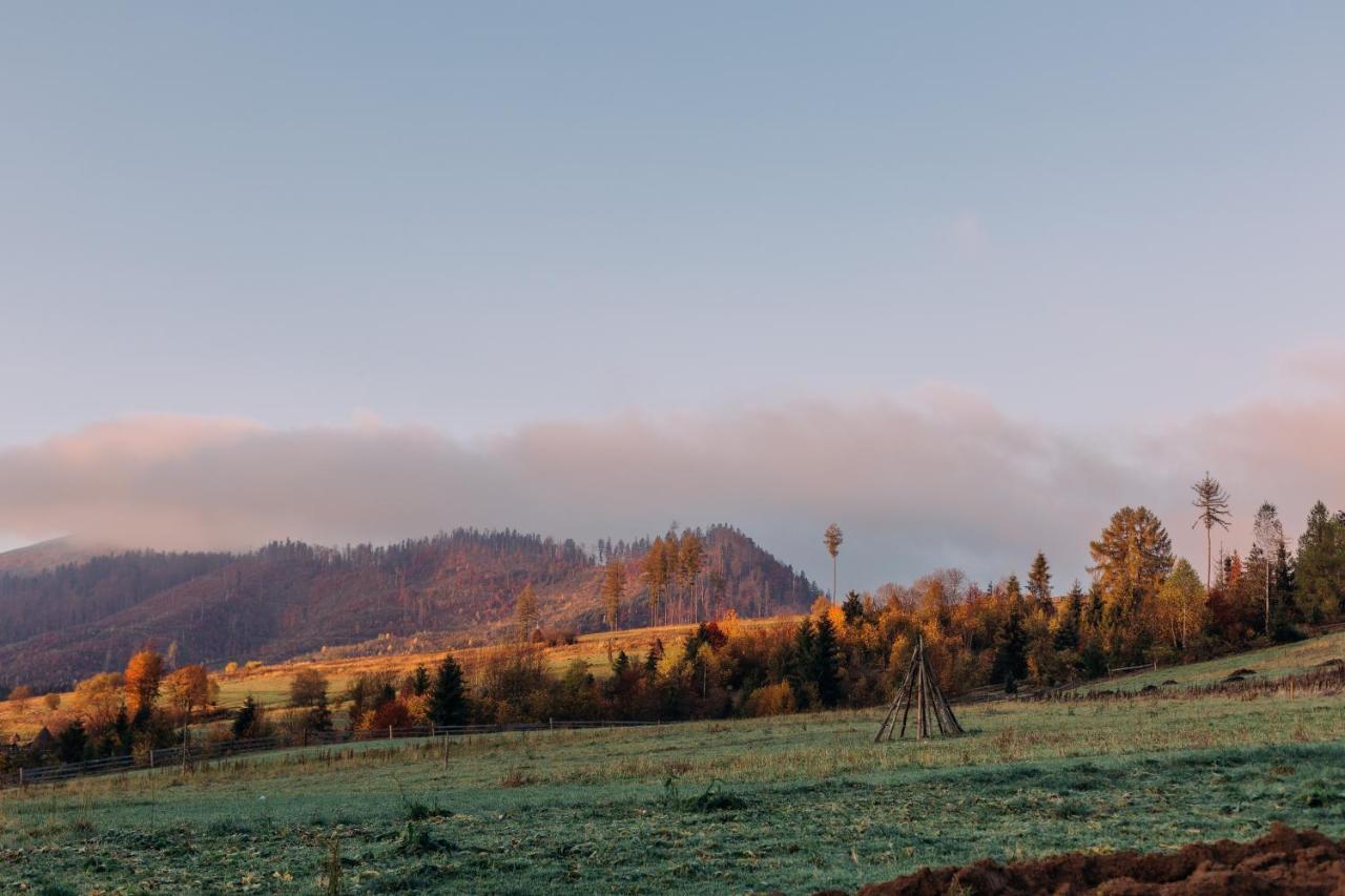 Chalet Borzhava Huklyvyy Buitenkant foto